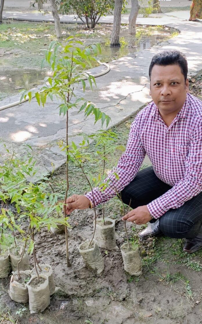 Narendra Gupta celebrated his birthday by planting 11 neem saplings.