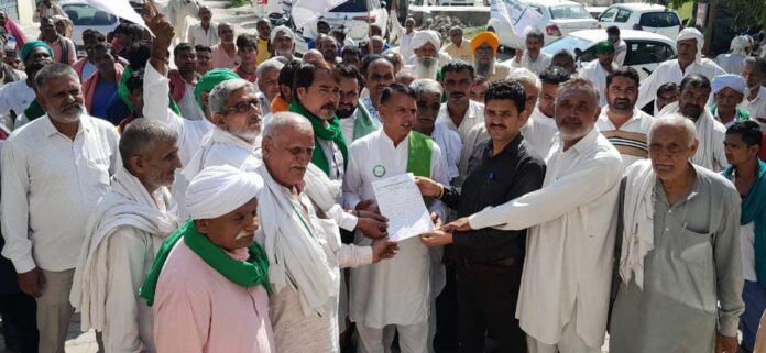 BK protested against the non-purchase of cumin and submitted a memorandum to the Tehsildar.