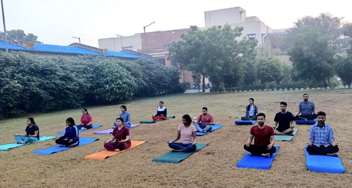 हकेवि में योग के प्रायोगिक सत्र में योगाभ्यास करते प्रतिभागी।