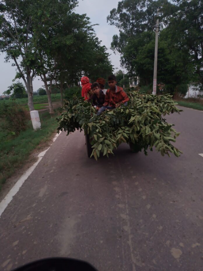 Traffic Police Panipat