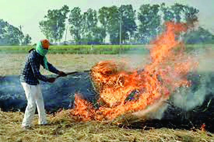 पराली समस्या के हल के लिए 500 करोड़ की कार्य योजना बनाई