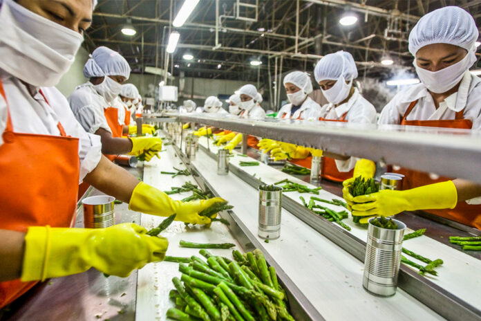 UP News: यूपी में खाद्य प्रसंस्करण उद्योग से मिलेगा दो लाख रोजगार, बढ़ेगी किसानों की आय