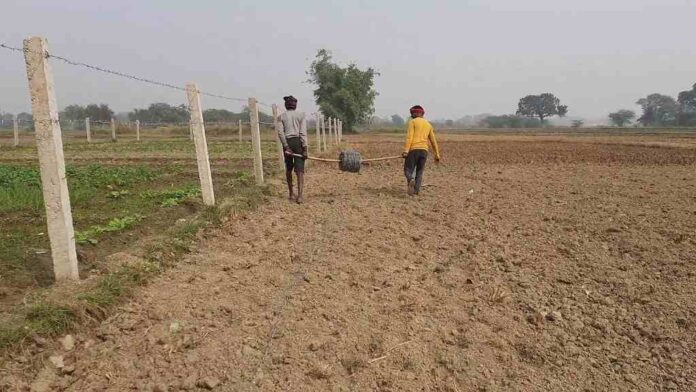 हरियाणा में पंचायती जमीन पर कब्जा करने वालों पर कार्रवाई की तैयारी शुरू