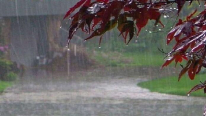 Delhi NCR Weather : दिल्ली एनसीआर में बारिश का ऑरेंज अलर्ट जारी, मानसून के आगमन से टूटे रिकॉर्ड