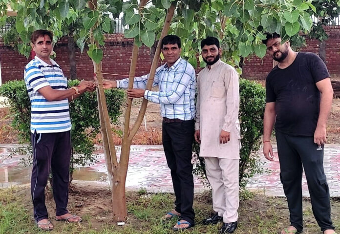 Continuous efforts are being made to plant trees- Ek Koshish social organization