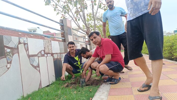 Jago Bharat team planted trees