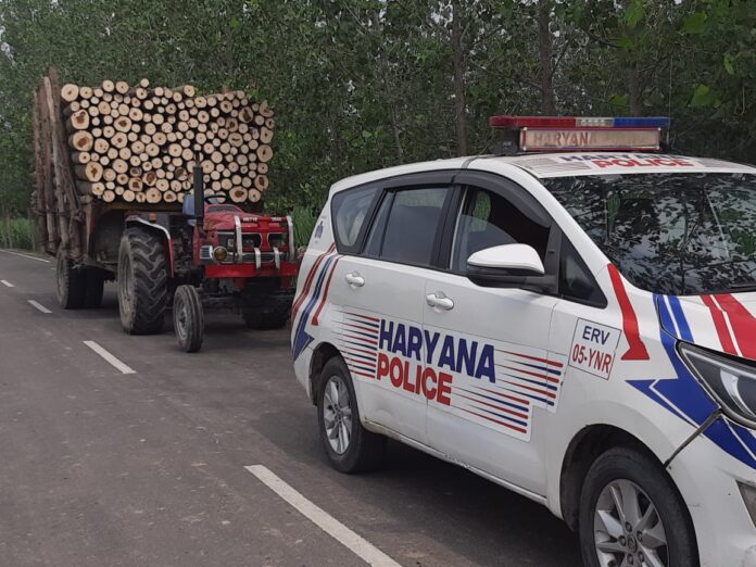 Allegations of forcefully cutting poplar trees from panchayat land