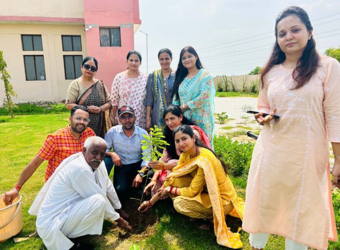 Plantation was done in Sultanpur Mahavidyalaya campus