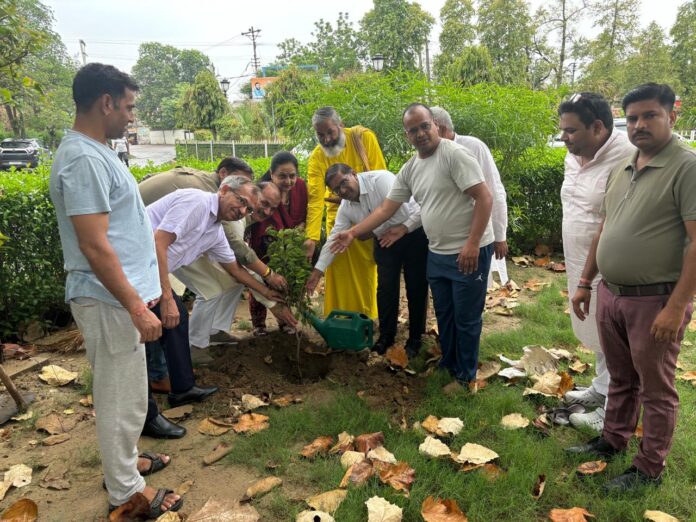 Praveen Joshi, Chairperson of Haryana State Child Rights Protection Commission planted a tree