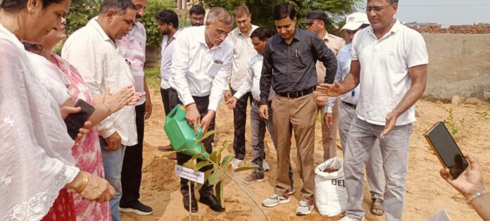 District Legal Services Authority planted 10000 saplings