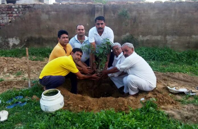 Triveni started tree plantation campaign in the school premises