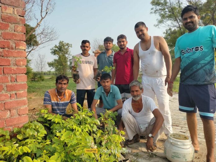 Samaj Utthan Nyas Sanstha planted trees in Maujabad