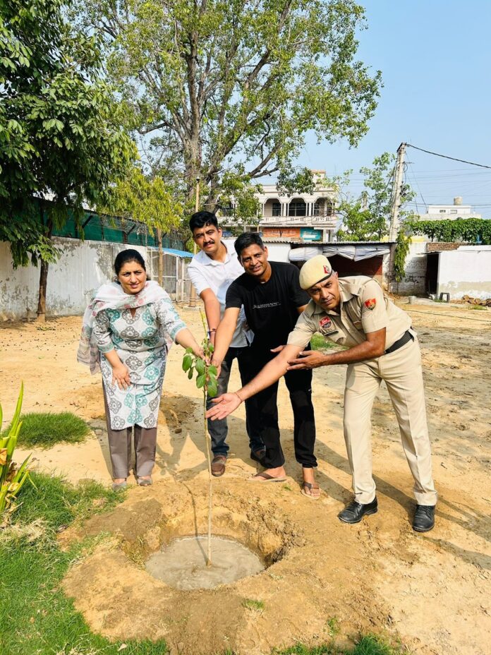 Select a place for environmental purification and bring proposal within 2 days: Deputy Commissioner