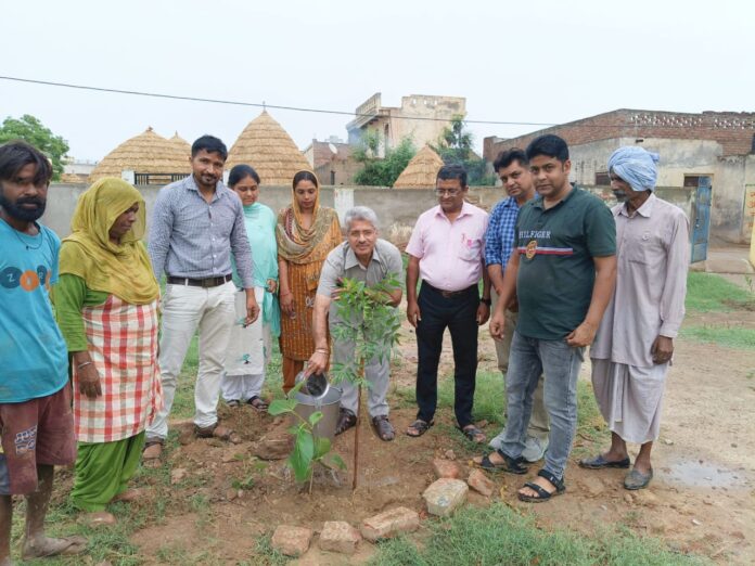 Ambala News : अंबाला साइक्लिंग ग्रुप ने माडल टाउन पार्क में किया पौधरोपण