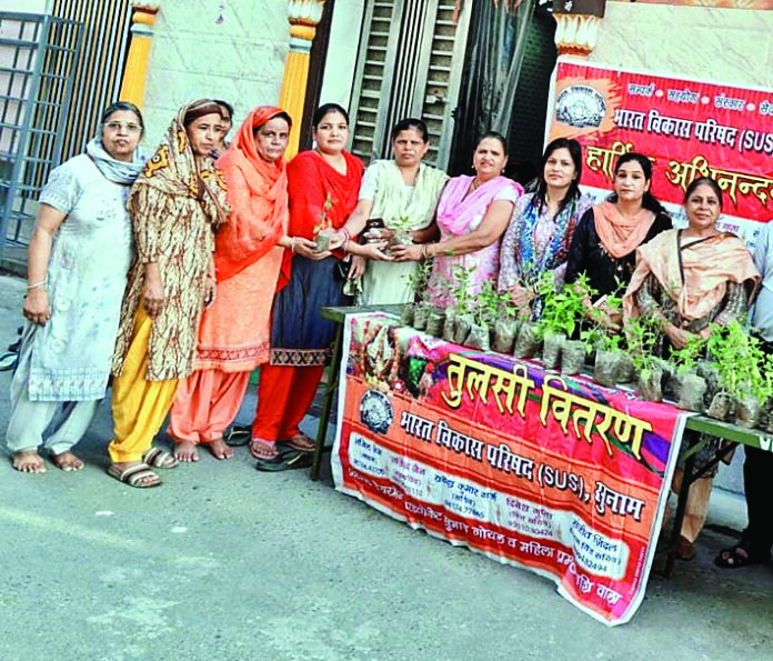 तुलसी वितरण कार्यक्रम का आयोजन 