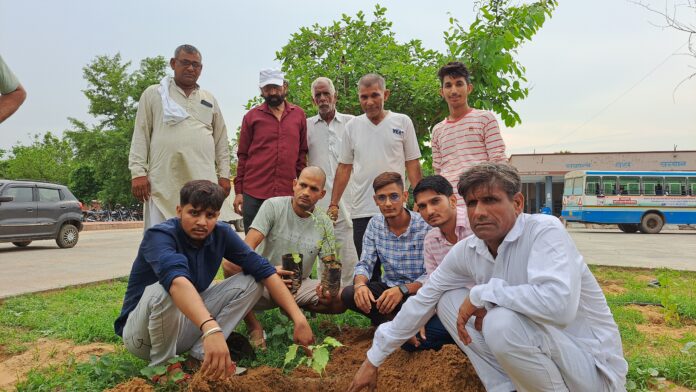 Yuva Janhit Trust gave the message of environmental protection by planting trees on a large scale in Badhra Bus Stand and Hansawas Temple premises.