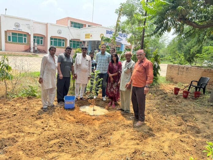 Gram Panchayat, health workers planted saplings in Hadaudi PHC