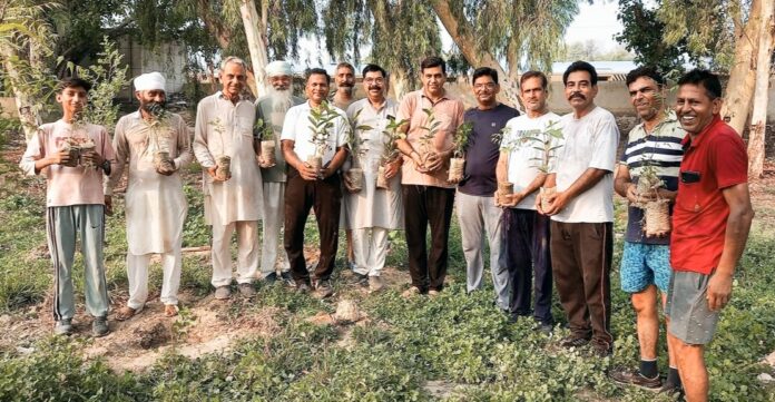 Team captain started tree plantation campaign