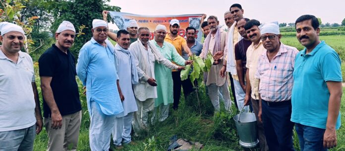 Sankirtan and tree plantation organized on Guru Purnima