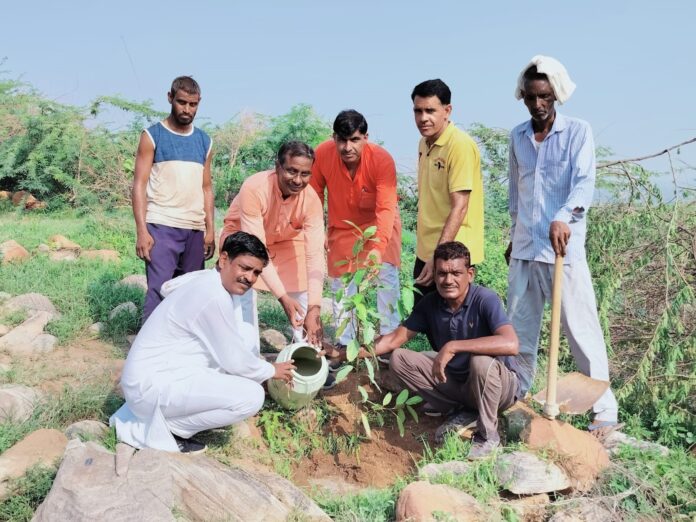 Dharmasena established 50 thousand saplings in the hilly area of ​​Atela Kalan.