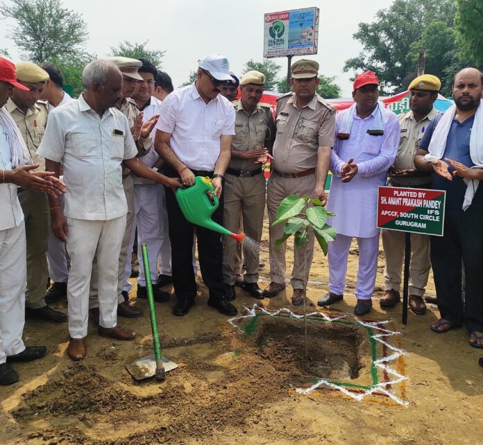 Trees and plants play an important role in environmental protection and balance: Anant Prakash Panda