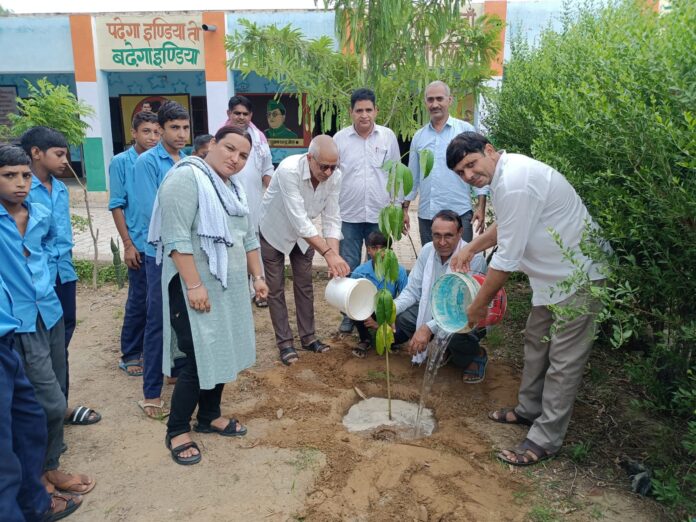 Advocate Mukesh Dhanimahu planted 15 saplings including a Triveni.