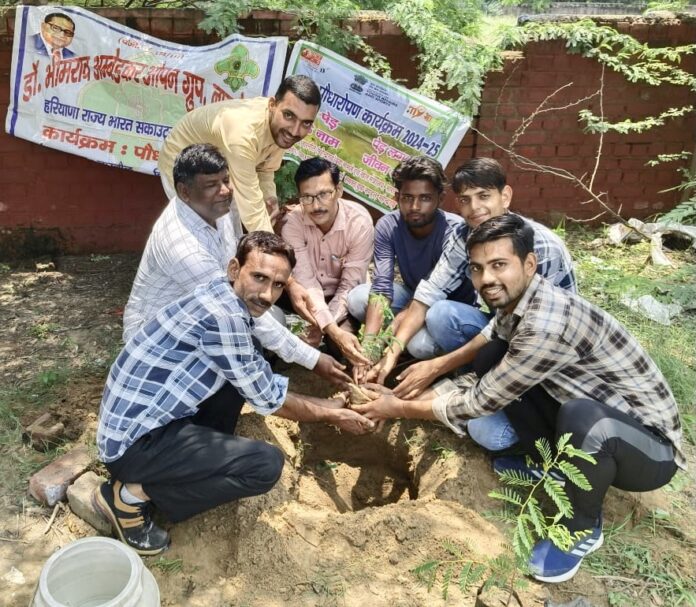 Plantation program organized under One Tree in the Name of Mother campaign