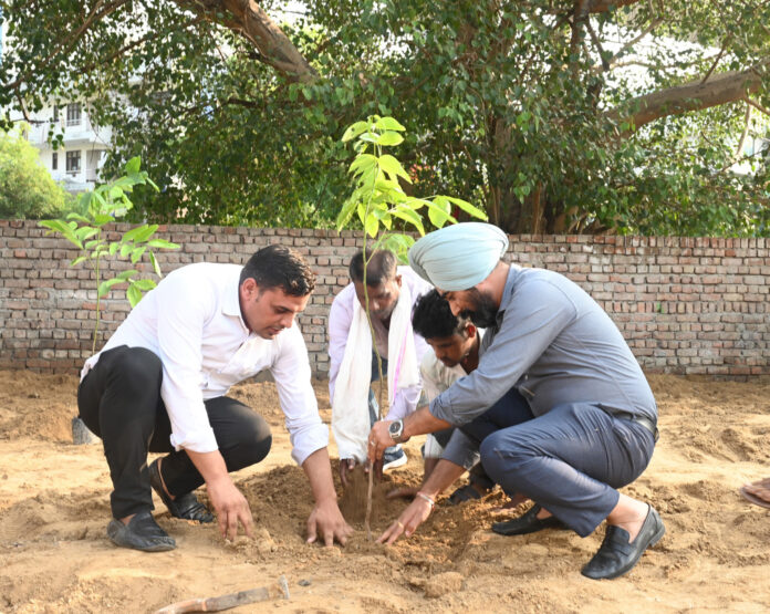 Garbage vulnerable point was cleaned and plantation was done in Sikandarpur