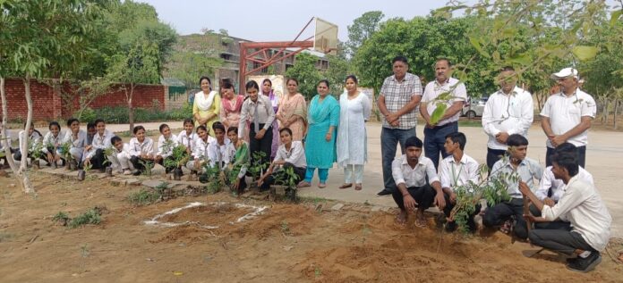 Charkhi Dadri News: Youth and Eco Club planted trees in Hadodi School