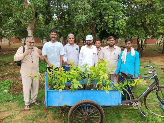 Under the leadership of Badhra bus stand in-charge, message of environmental protection was given by planting saplings in the bus stand premises.