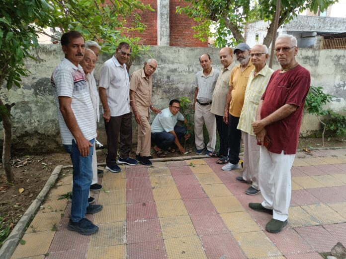 Senior citizens will plant trees on their birthdays