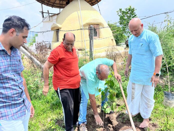 ISKCON Trust planted trees on the banks of Yamuna river in Kalesar