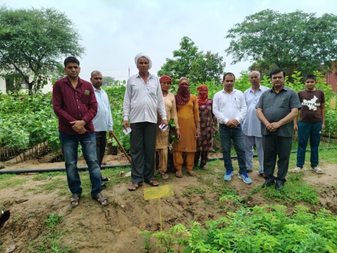 Took stock of forest nursery to make plantation successful