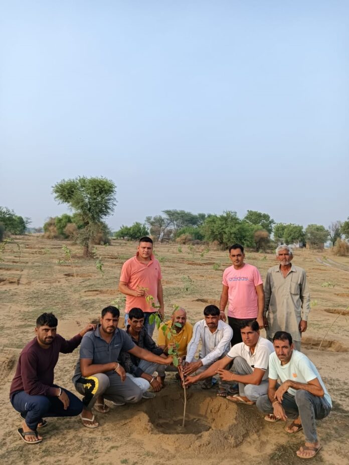 Ladawas Sarpanch will distribute 21 thousand saplings and plant them at different places in the area.