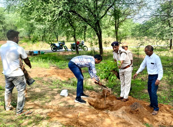 Plantation program started under the campaign 