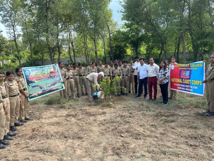 One cadet one plant program organized