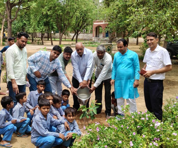 Tree plantation campaign conducted in ARED school