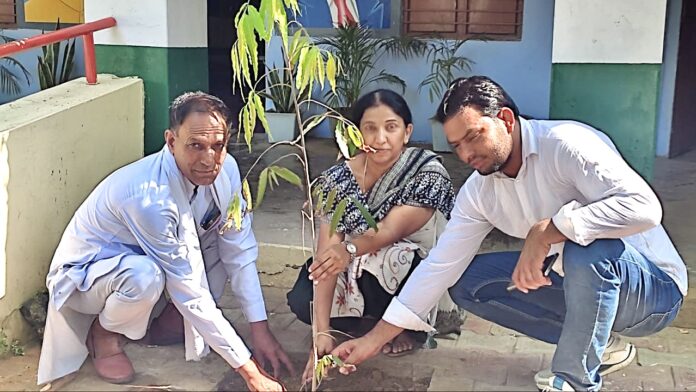 Plant a tree in mother's name