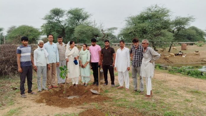 Trees bring welfare to every class: Babita Sheoran