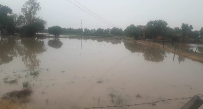 Monsoon rains in Fatehabad for the second time, entire Fatehabad submerged in water.