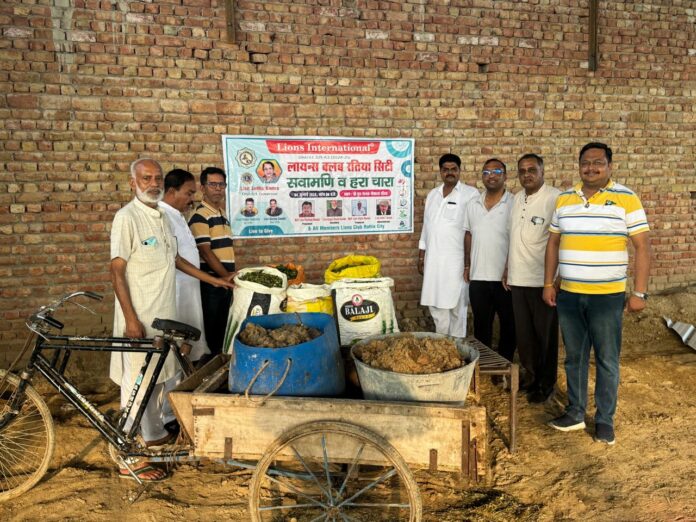 Lions Club Ratia City served green fodder and food to mother cow.