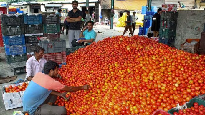 Delhi Tomato Price: दिल्ली में आसमान छू रहीं हैं टमाटर की कीमतें, वजह जान चौंक जाएंगे