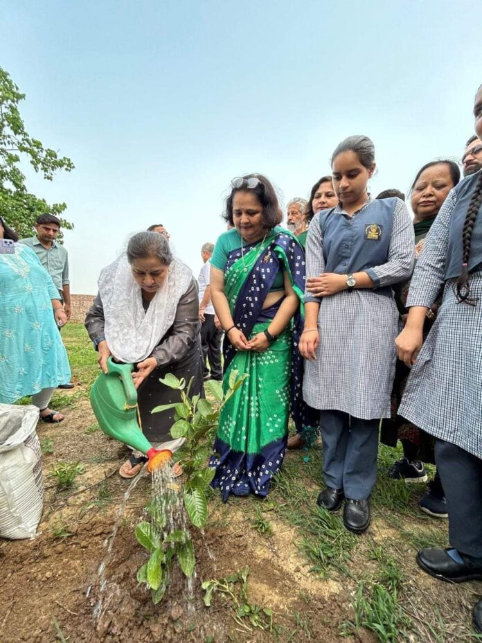 Ambala News : मेयर शक्ति रानी शर्मा ने दयानंद पब्लिक स्कूल में किया पौधारोपण