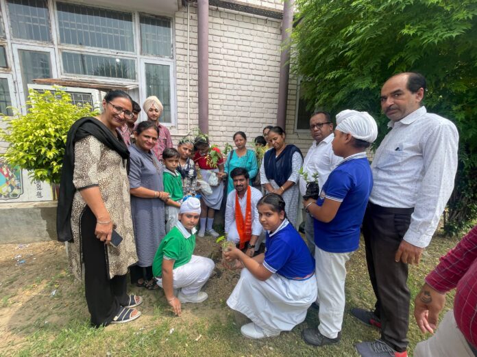 Tree plantation program organized in Brijlal DAV School