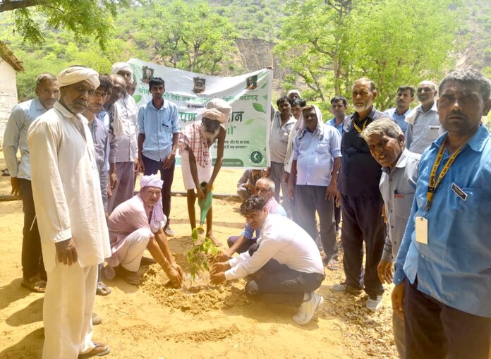 1101 fruitful and shady plants planted under Paryavaran Sakhi program