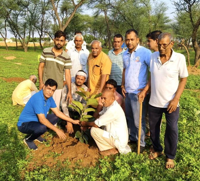 Tree plantation program organized in Guwani under Ek Ped Maa Ke Naam campaign