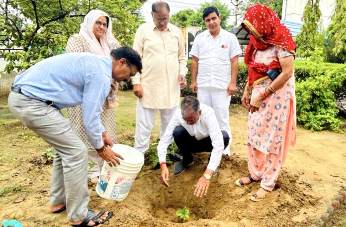 नांगल चौधरी विधानसभा क्षेत्र में लगभग 30 हजार लगाए पौधे