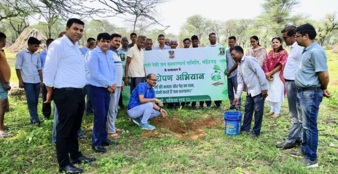 Saplings planted in village Surani ki Bani under Environment Sakhi program