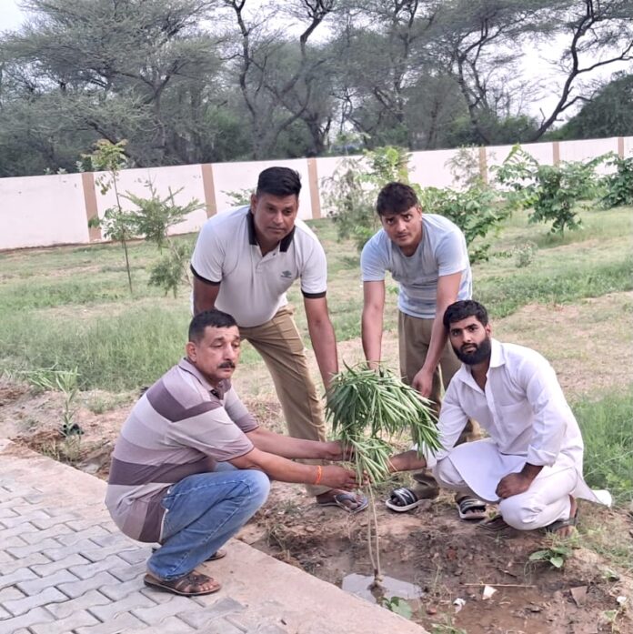 Janshakti Vikas Sangathan planted trees in the fire brigade office of Chelawas