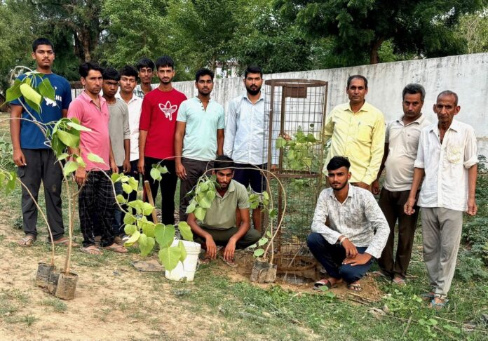 Prayas Balaji Sanstha planted 200 saplings